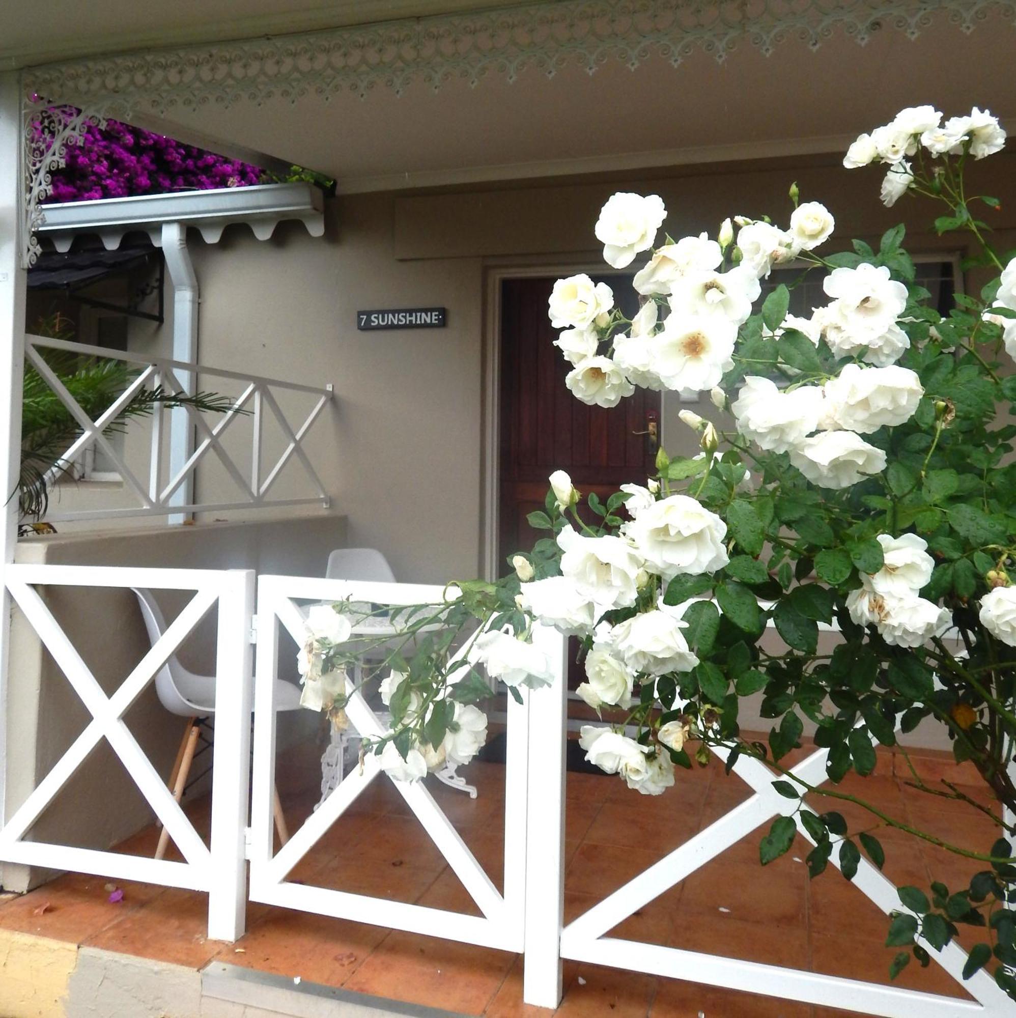 Longtom Farm Guesthouse Lydenburg Dış mekan fotoğraf