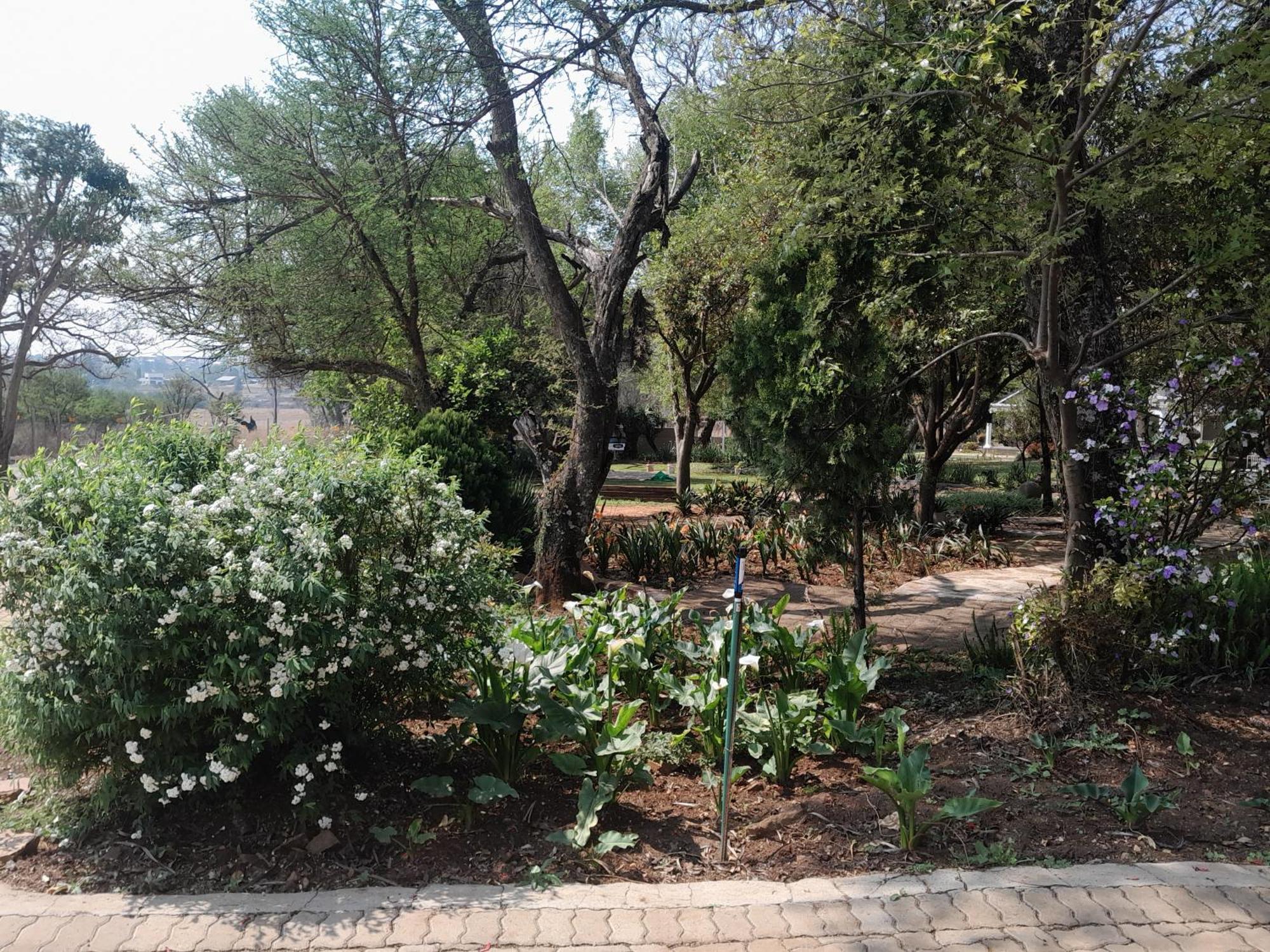 Longtom Farm Guesthouse Lydenburg Dış mekan fotoğraf